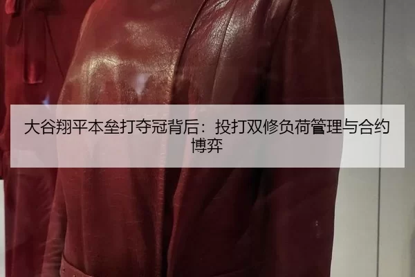 da-gu-xiang-ping-ben-lei-da-duo-guan-bei-hou-tou-da-shuang-xiu-fu-he-guan-li-yu-he-yue-bo-yi-3-295.jpg